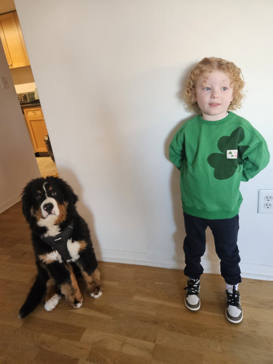 Nicola Byrne tweet media