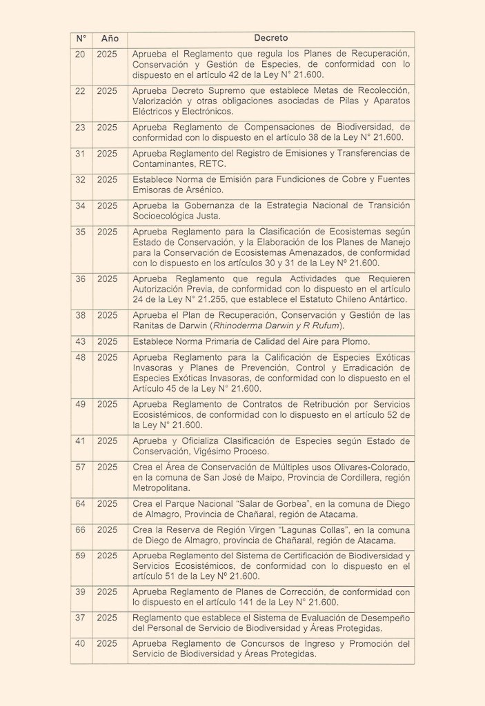 País Esponja tweet media