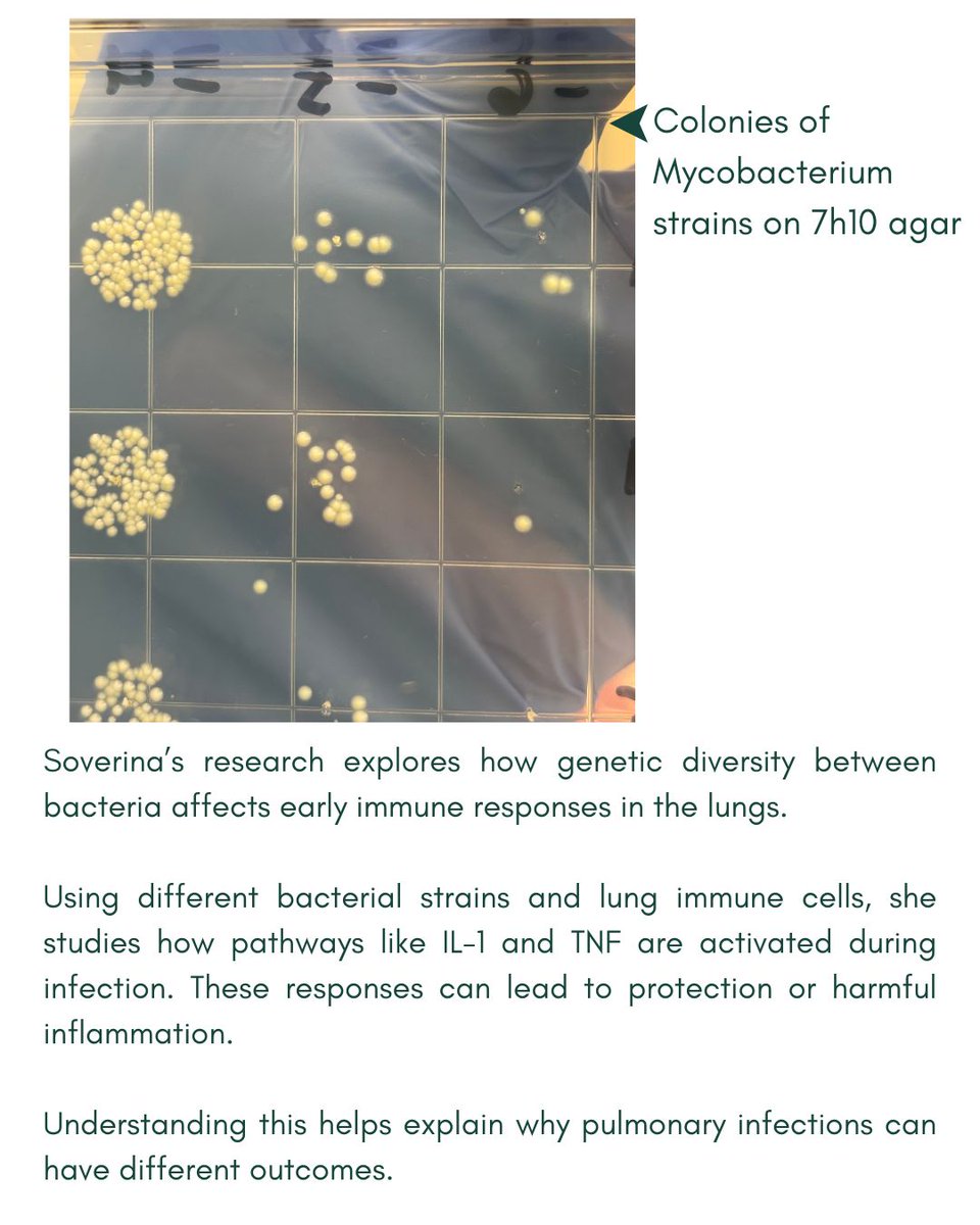 MSU Microbiology, Genetics, & Immunology tweet media