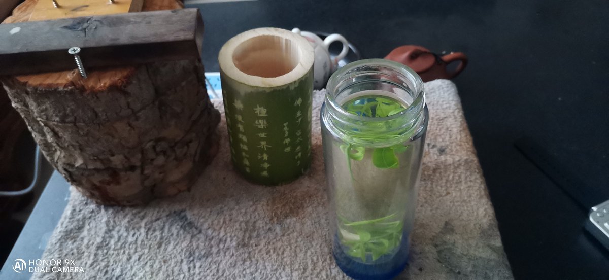 bd_almrhwmy's tweet photo. Turn old glass jars into glowing candle holders! Clean, paint rims, add sand + a tealight—warm glow in 5 mins.  #Upcycle #DIYMagic https://t.co/P60KXuIkOV