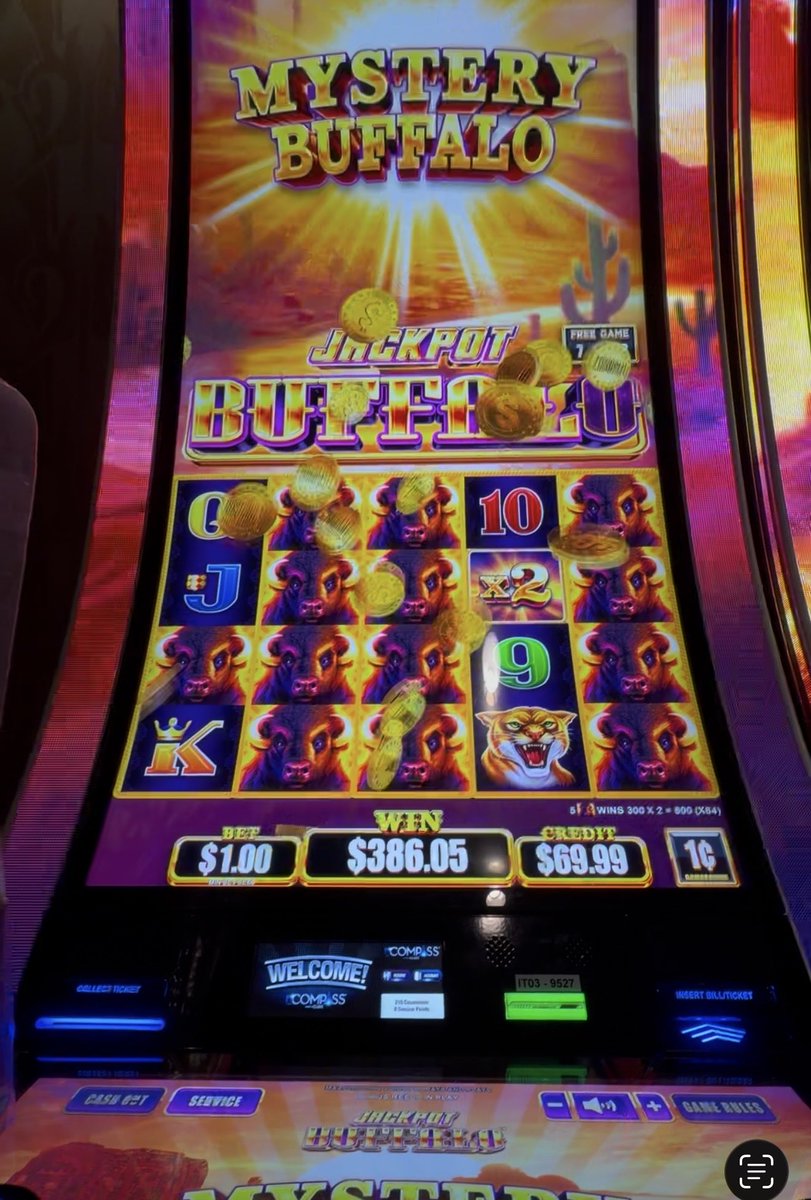 Steven M tweet media