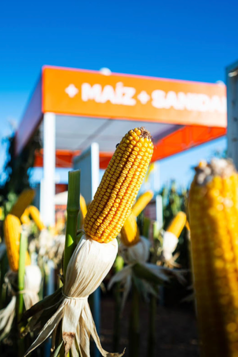 Agrofy News tweet media