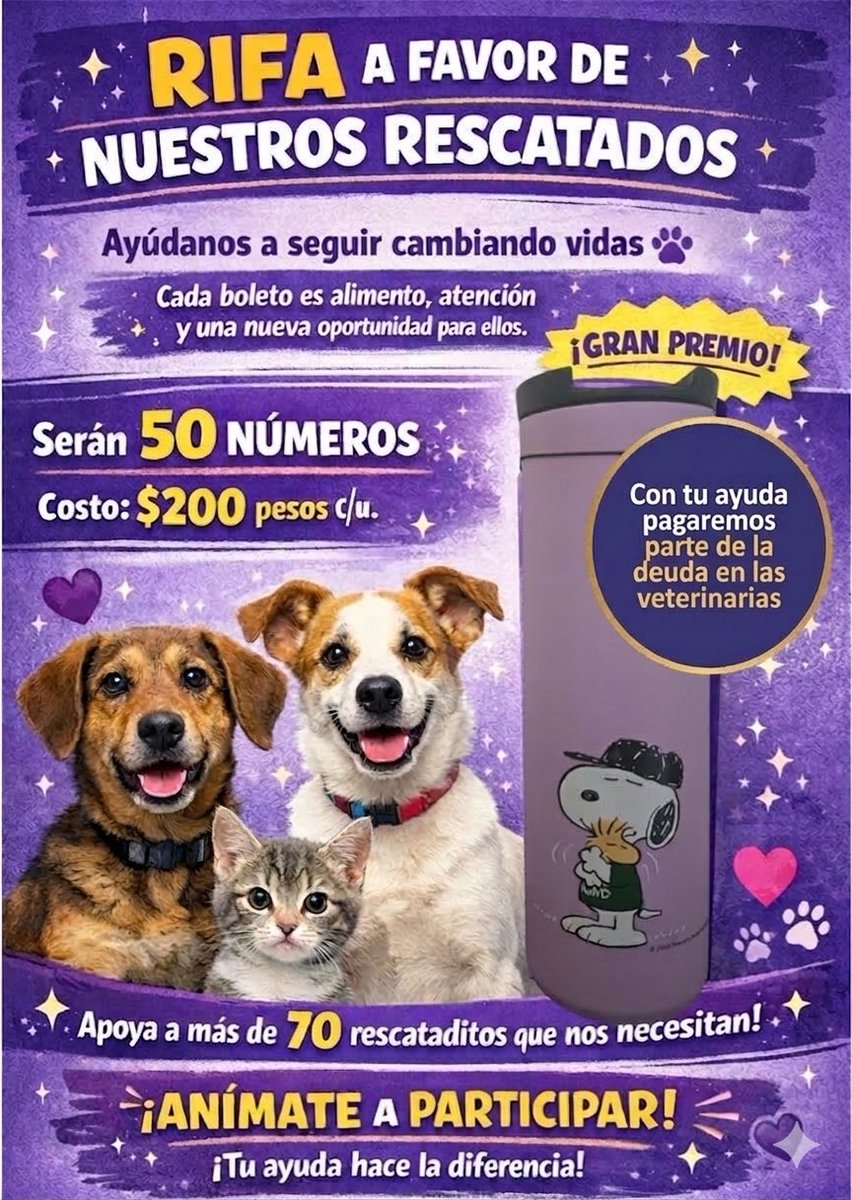 𝙷𝚎𝚕𝚊 𝙼𝚘𝚛𝚎 🐶 tweet media