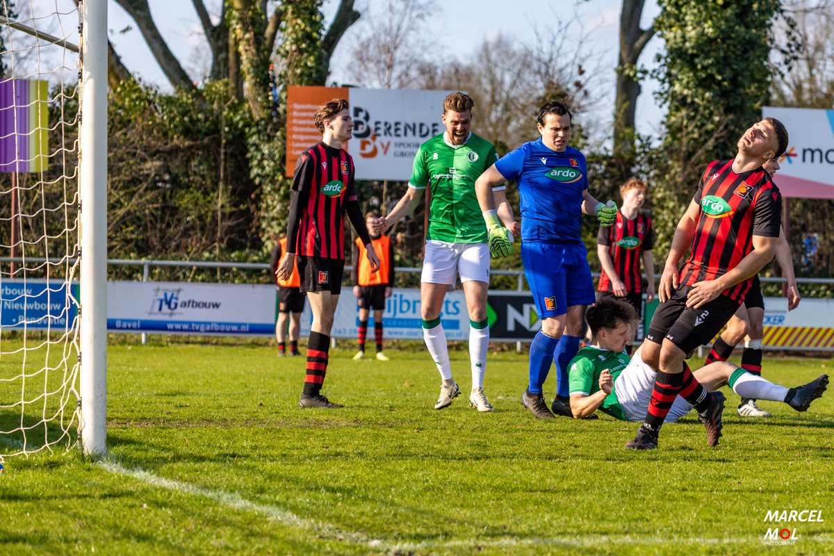 V.V. Bavel tweet media