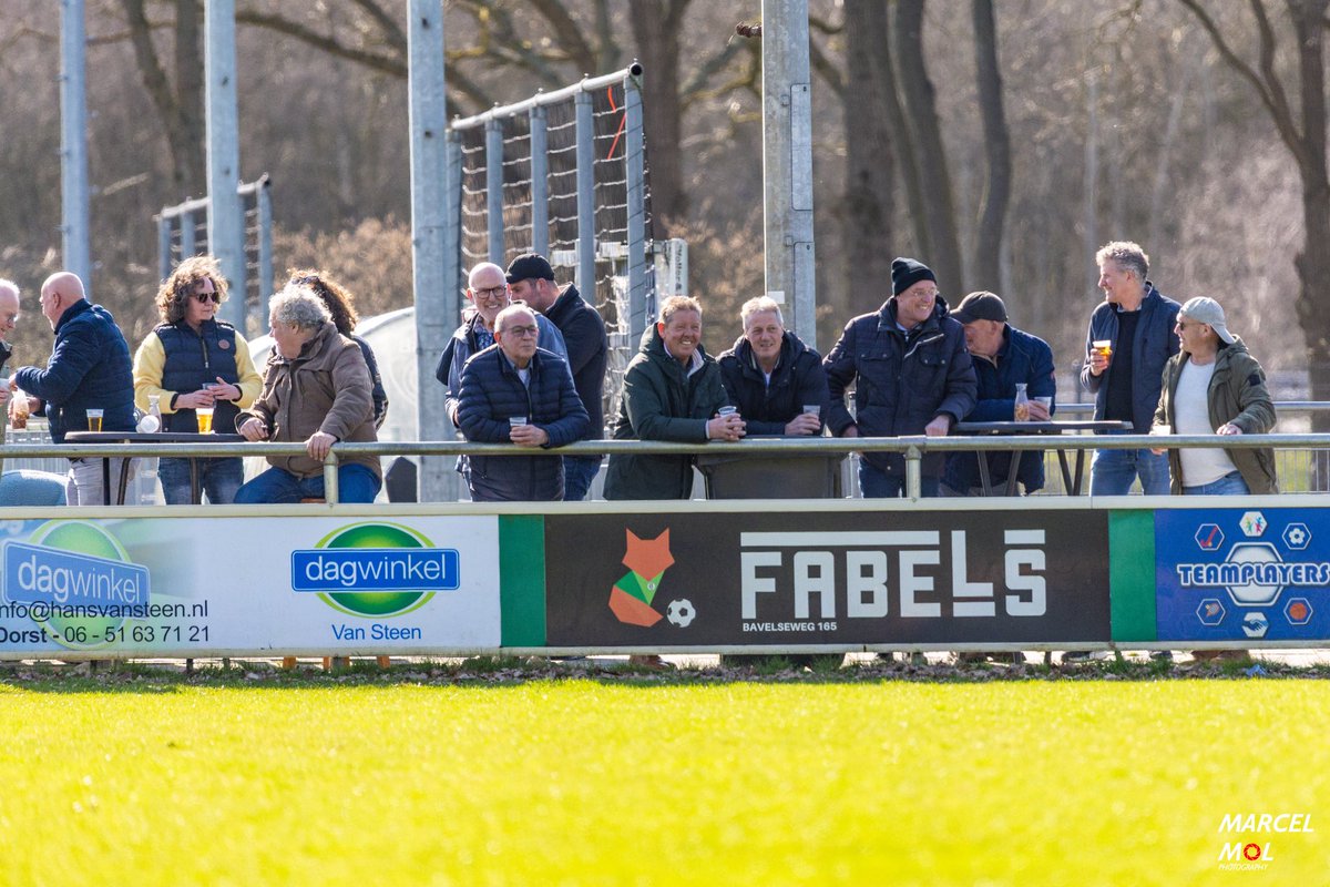 V.V. Bavel tweet media