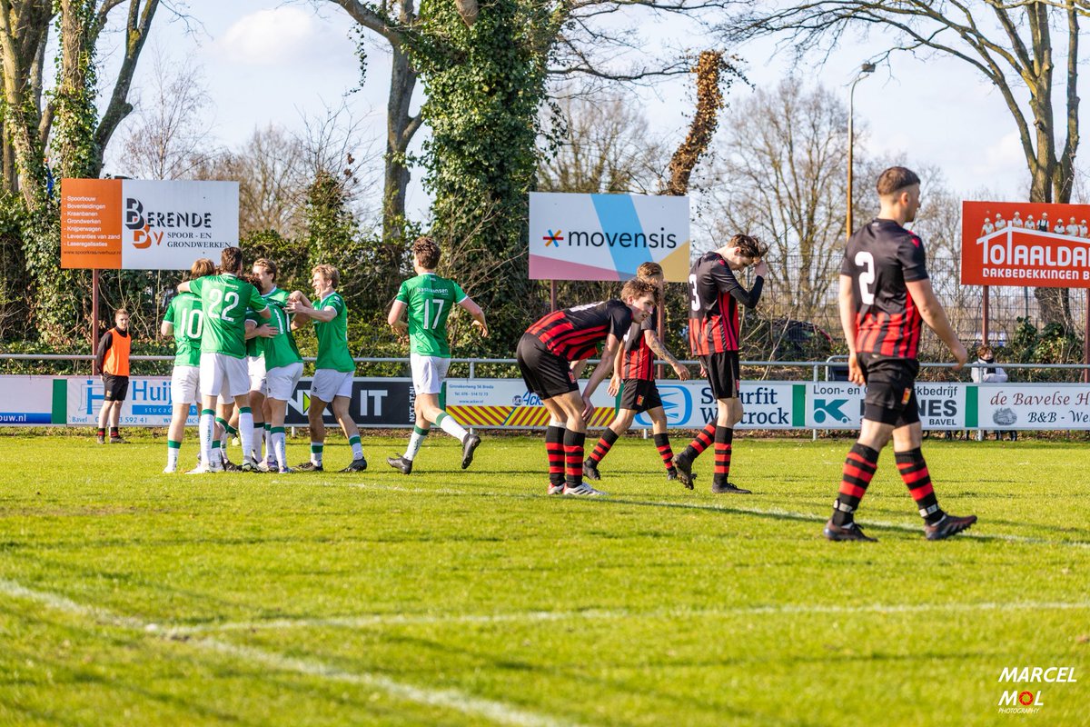 V.V. Bavel tweet media