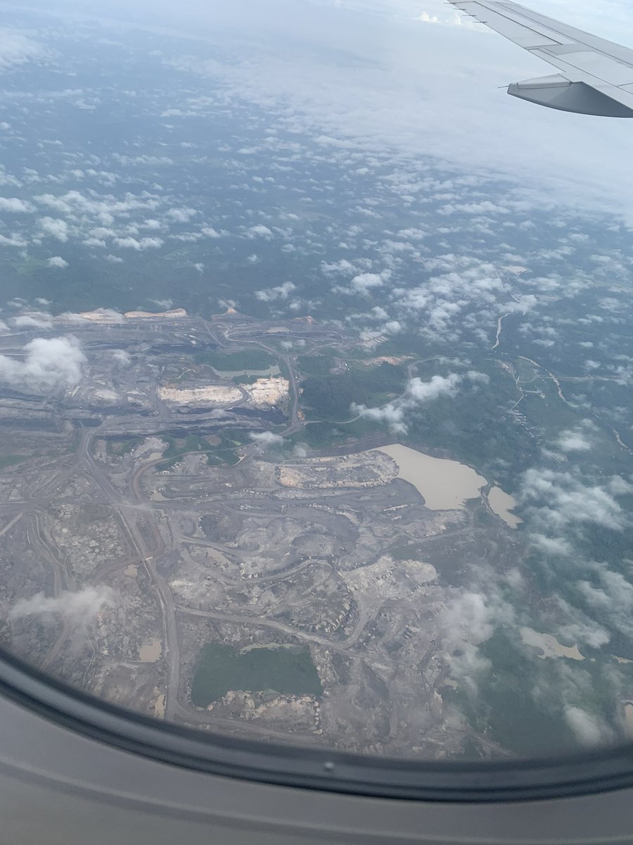 (e)rika🦦 tweet media