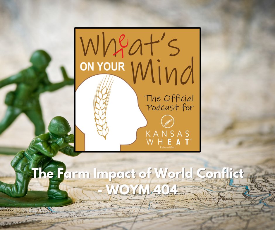 KansasWheat tweet media