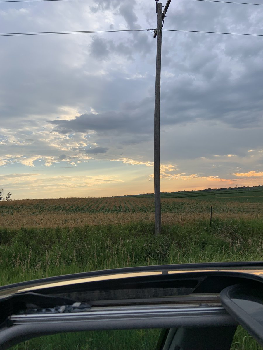 Kylie Albertsen tweet media