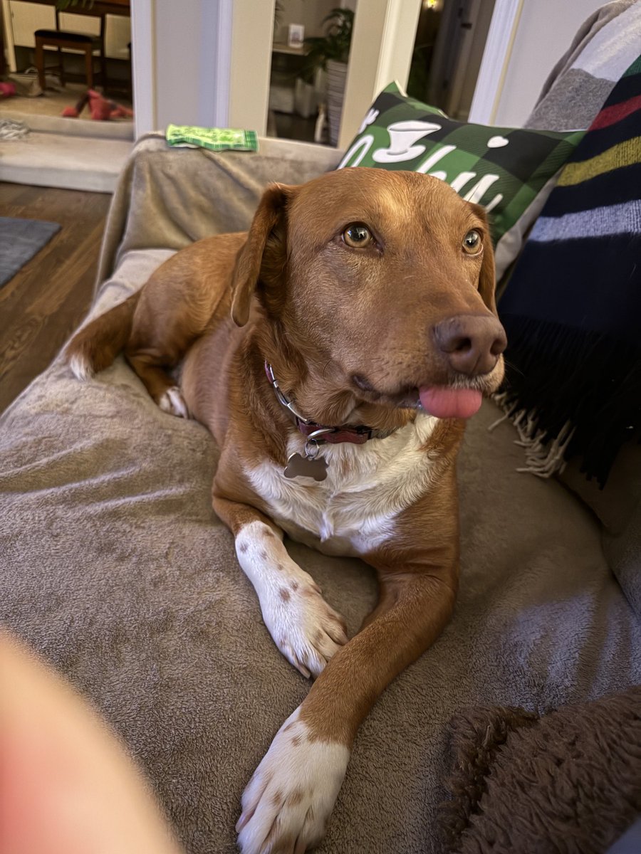 Luna.FosterFail tweet media