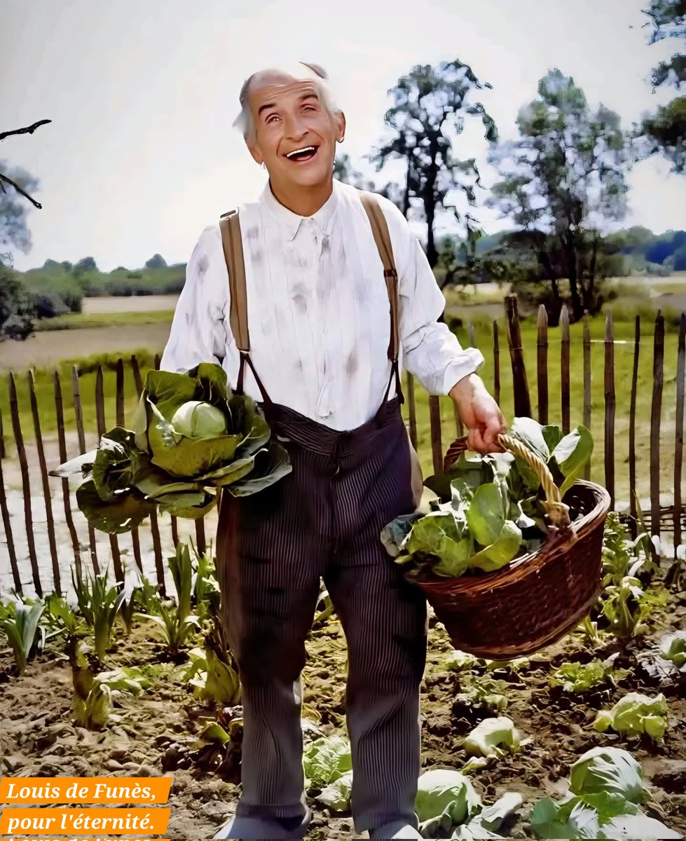 Louis de Funès, pour l'éternité tweet media