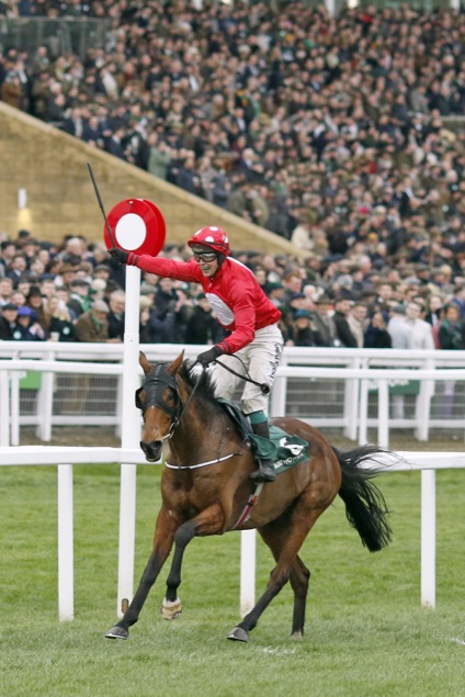 bloodstocknews's tweet photo. ☘️Happy St. Patrick's day from EBN🇮🇪

A day to celebrate Ireland's impact on the global Bloodstock and Racing Industry💫🏇

⏪Rewinds to last week's emphatic Gr.1 Stayers' Hurdle success at Cheltenham Festival for the Irish-bred, owned, trained and sired HOME BY THE LEE🏆

Stay up to date with #EBN #ReadAllAboutIt🔸🔹