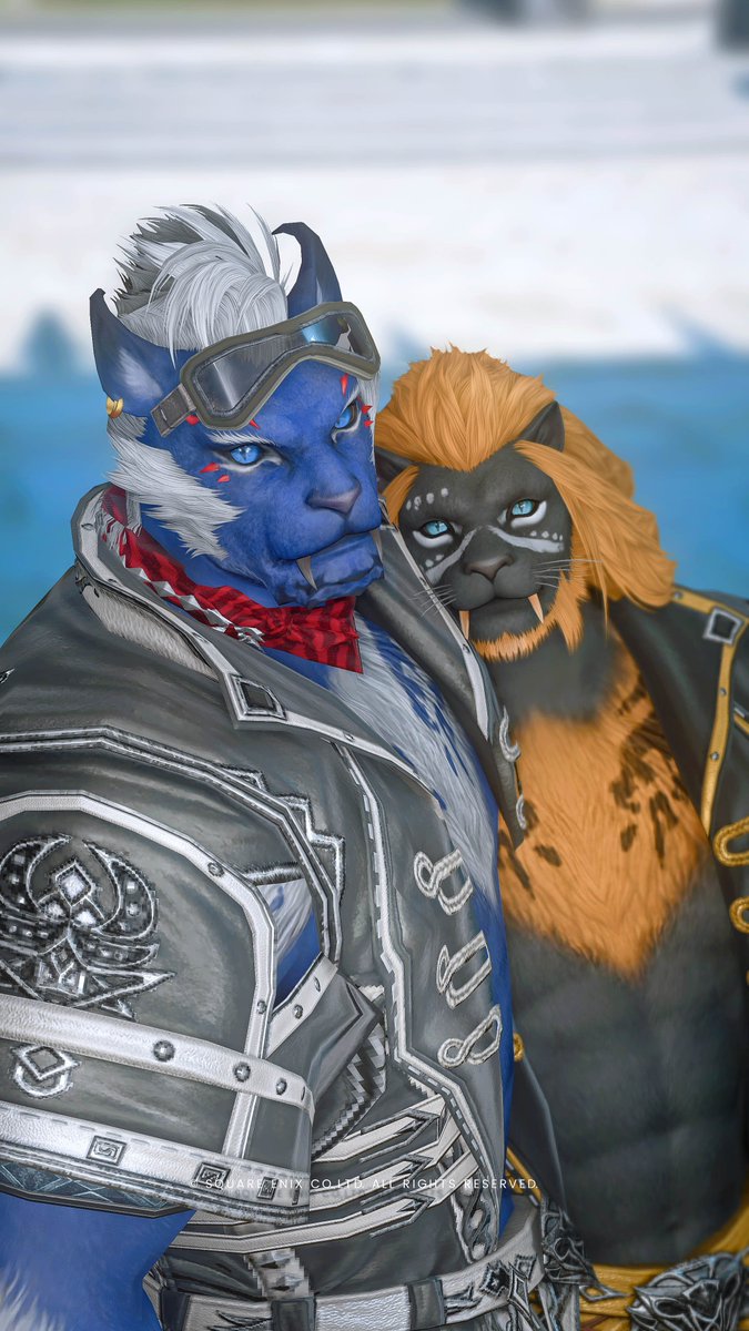 ジンクロ tweet media