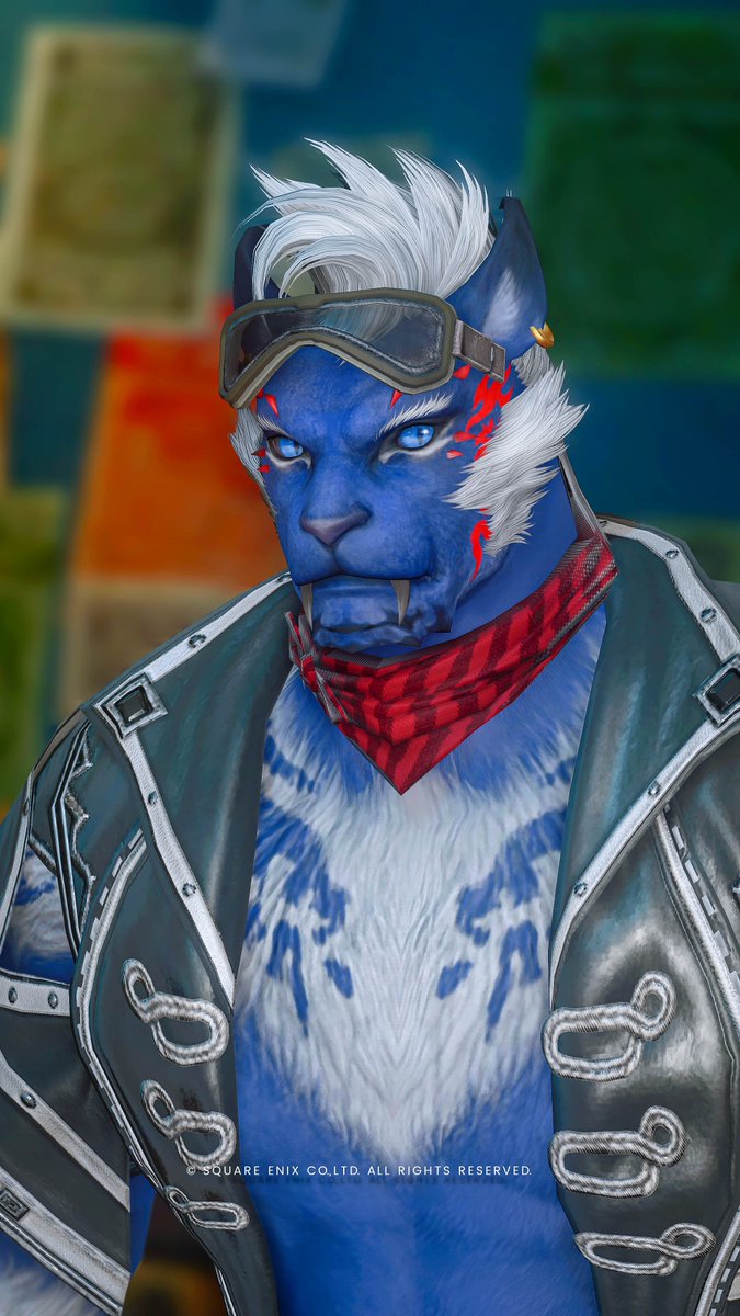 ジンクロ tweet media