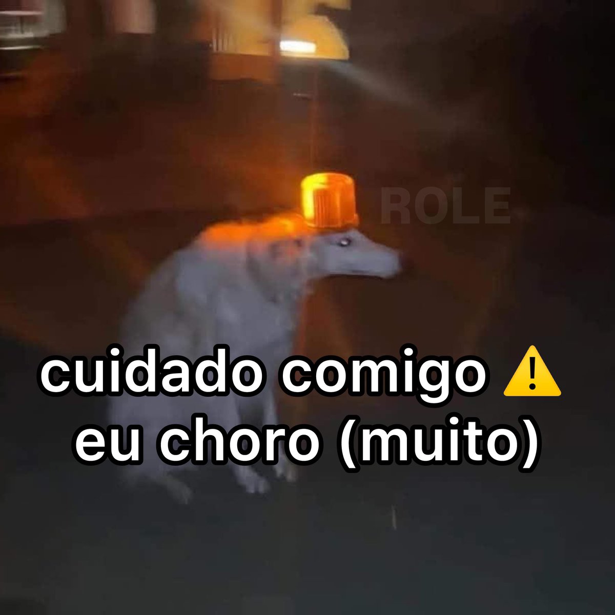 Rolê Aleatório (@rolealeatorio) on Twitter photo 