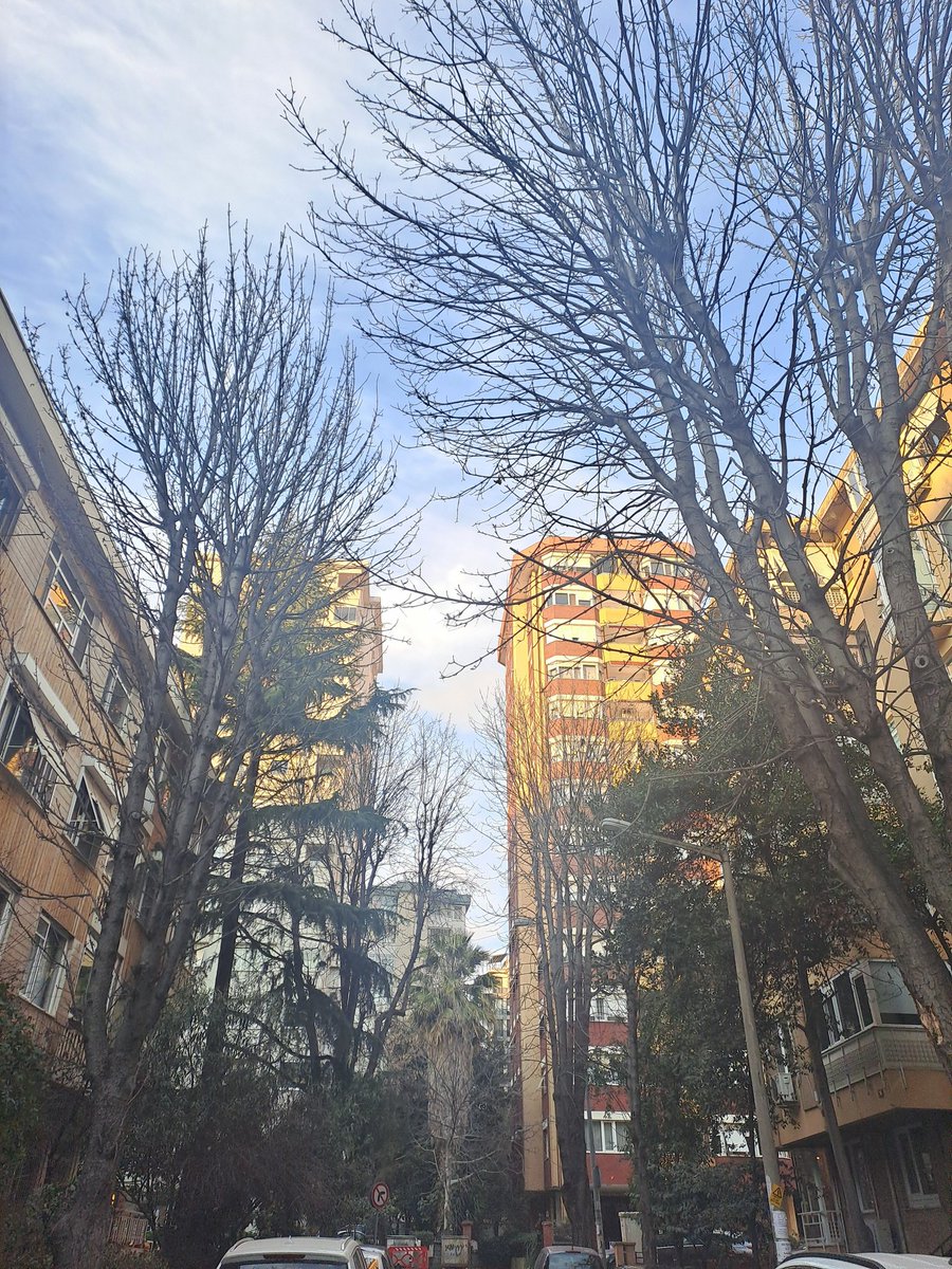 Berk Erkent tweet media