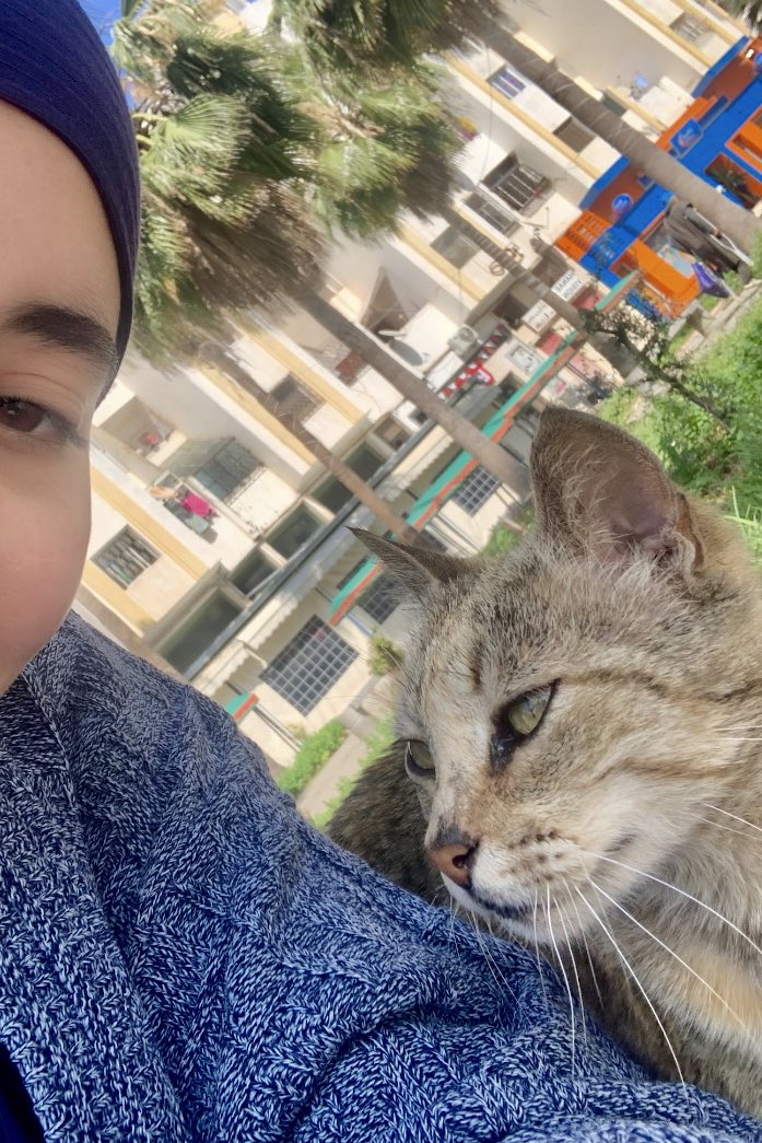 l3aawdaa tweet media