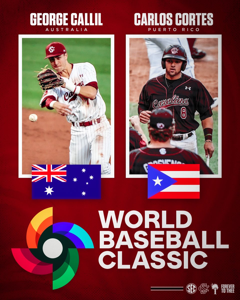 South Carolina Baseball tweet media