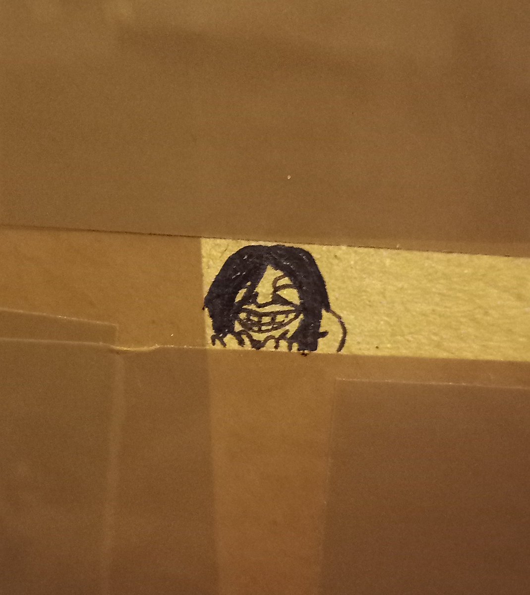 Khalysta Farall 🐻🍉 tweet media