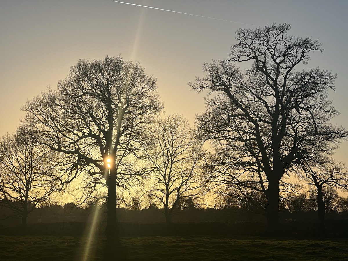 bk_ldn's tweet photo. ⁦@harrowonline⁩  A beautiful evening at Pinner Park Farm fields https://t.co/gWzUyd8PNt