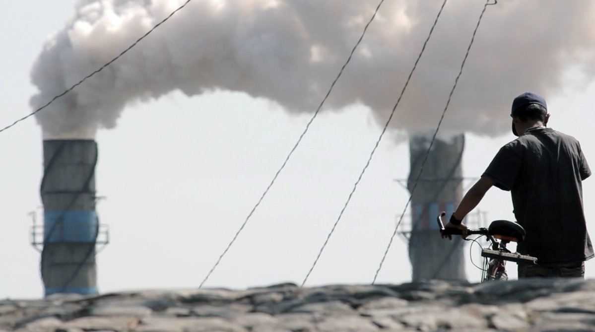 Cineteca Nacional tweet media