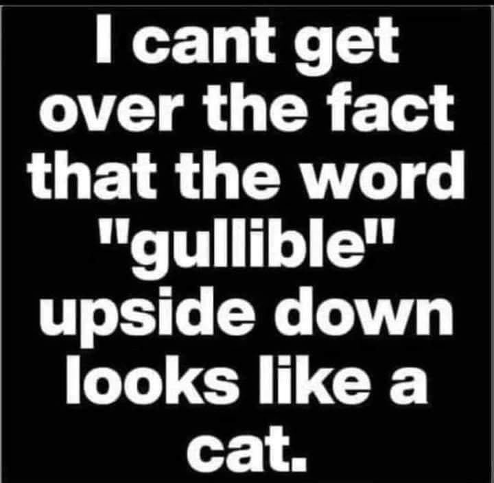 💂🏻‍♀️👋🏻вєαя🍻🇬🇧™ tweet media