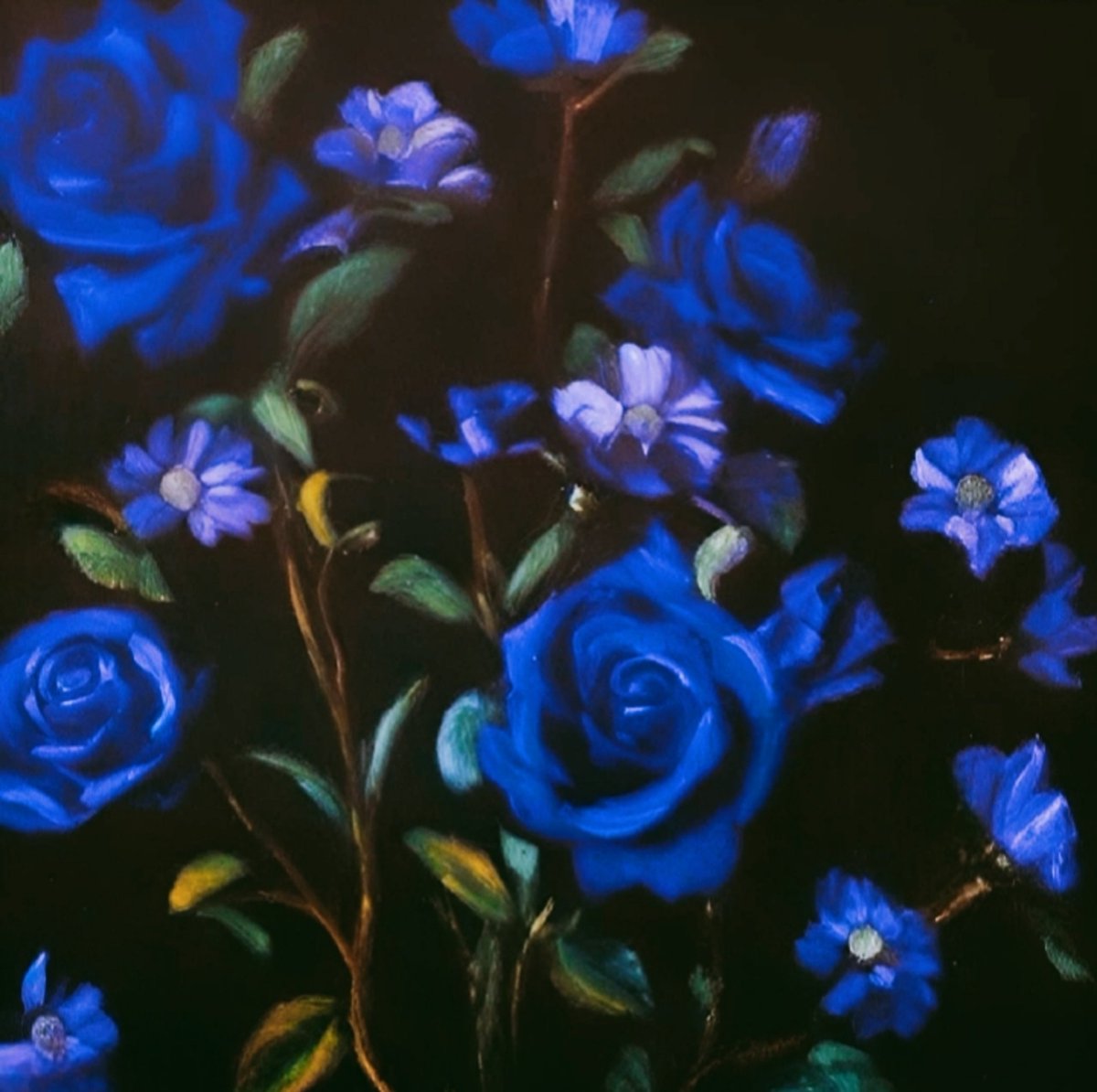 Lady Beetle🐞🌬️Gülşen💨 tweet media