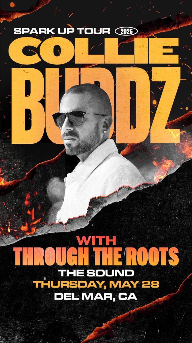 Through The Roots tweet media