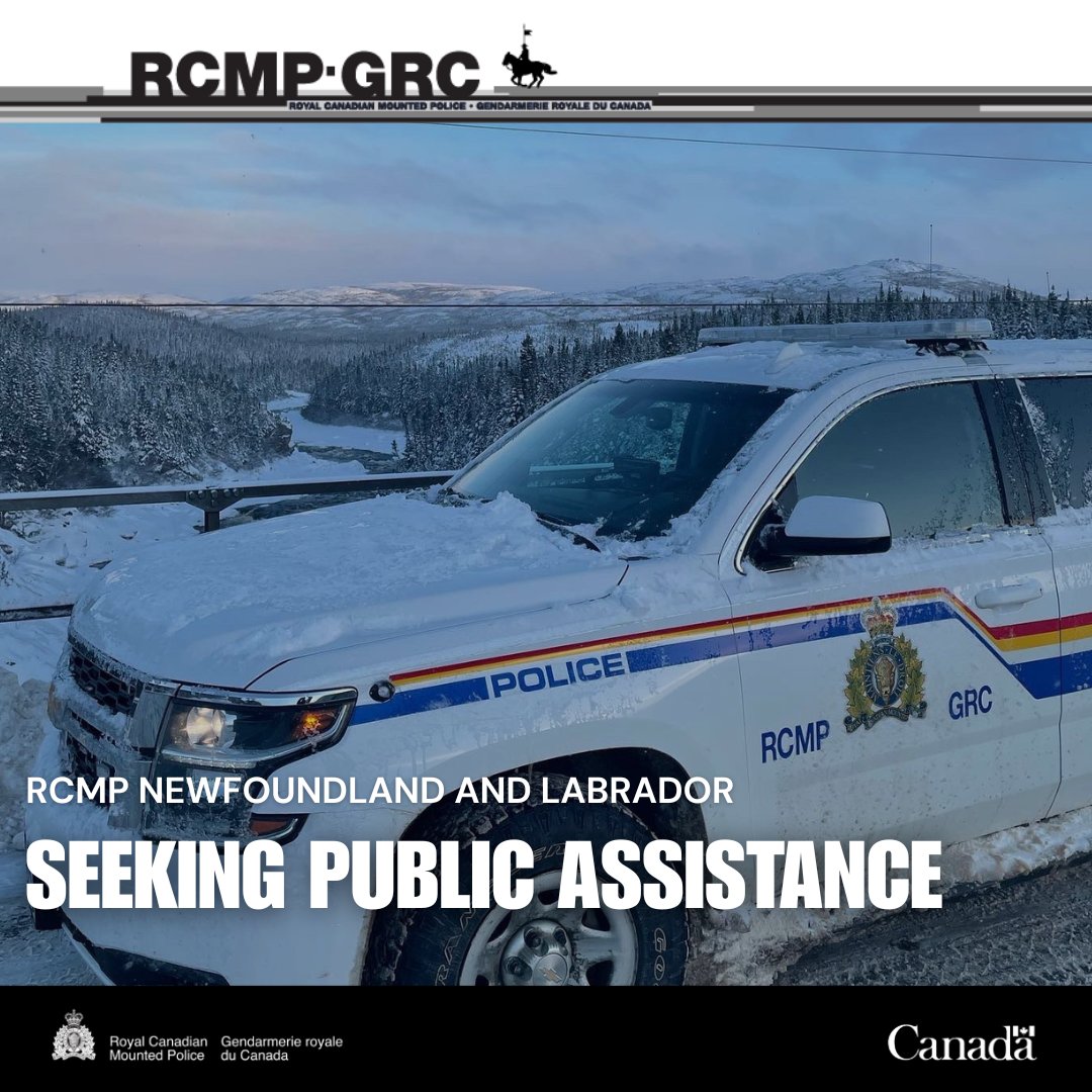 RCMP Newfoundland and Labrador tweet media