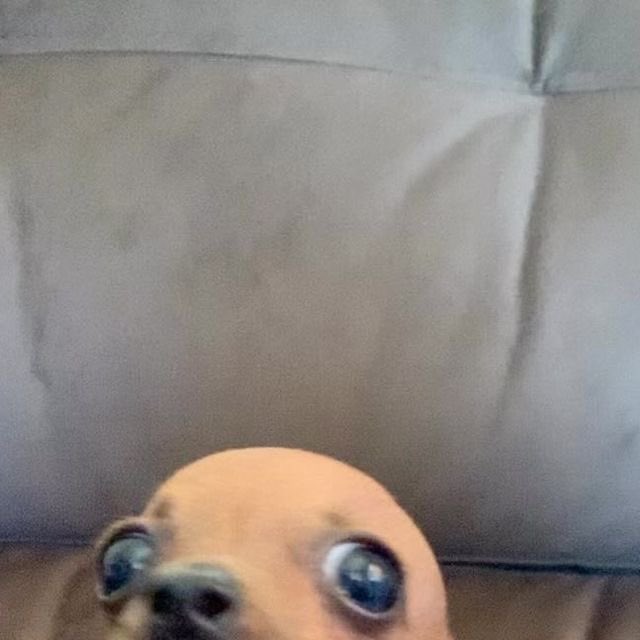 ayala 2.1.3 (ᴍᴇɢᴀ 👑 ᴇʀᴀ) tweet media