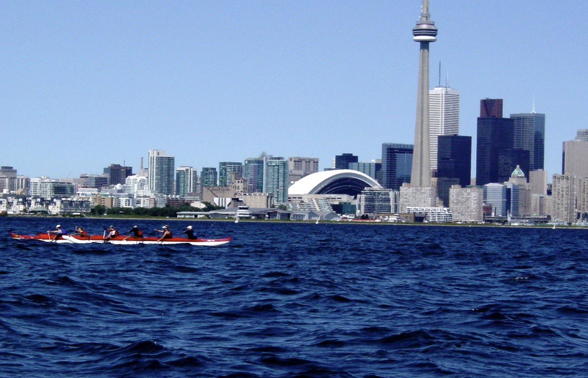 Mark Mattson tweet media