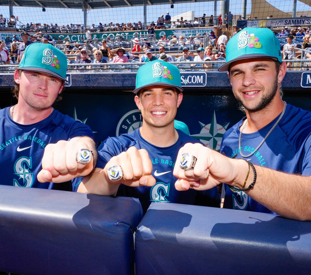 Mariners Player Development tweet media