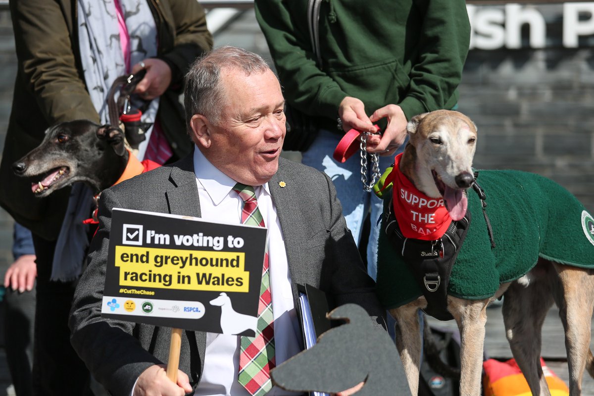 RSPCA Cymru tweet media