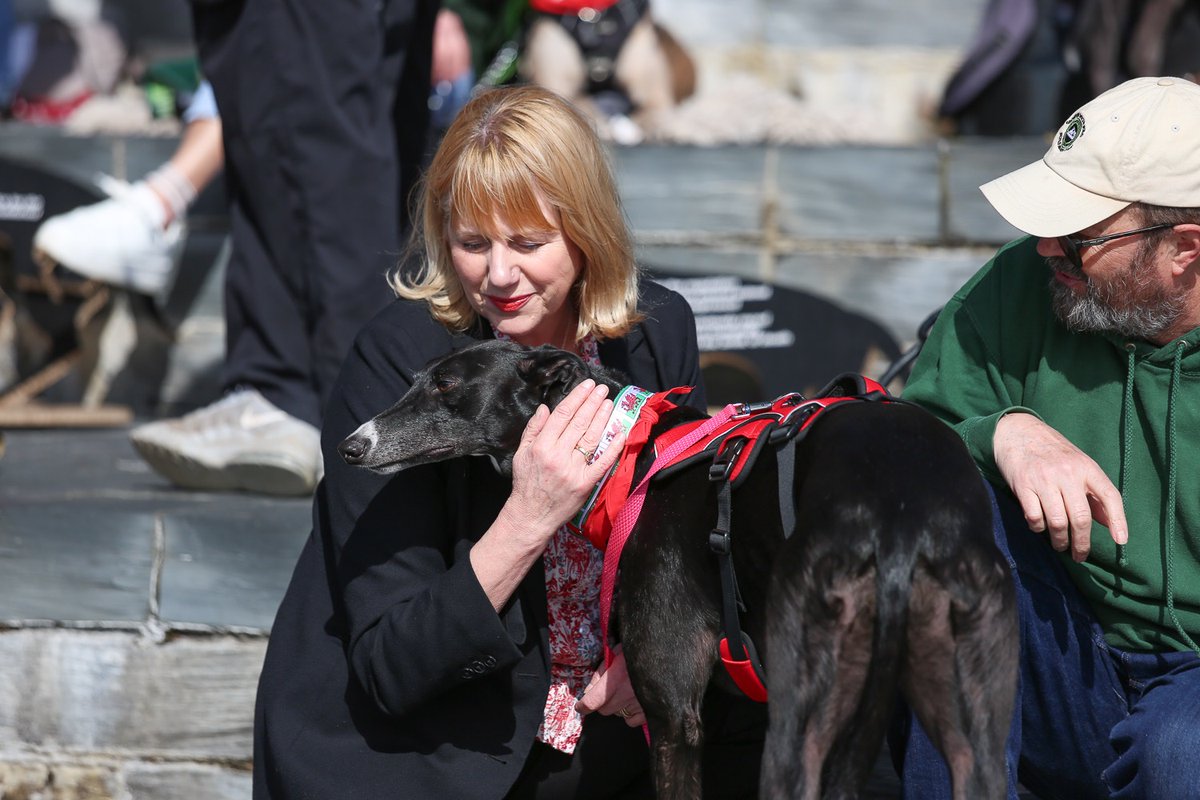 RSPCA Cymru tweet media