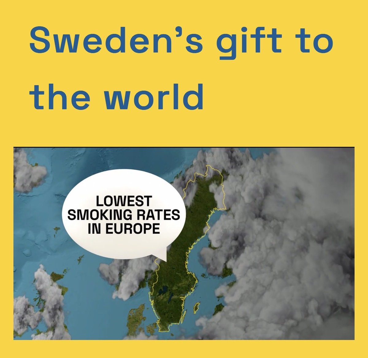 GrimmGreen tweet media