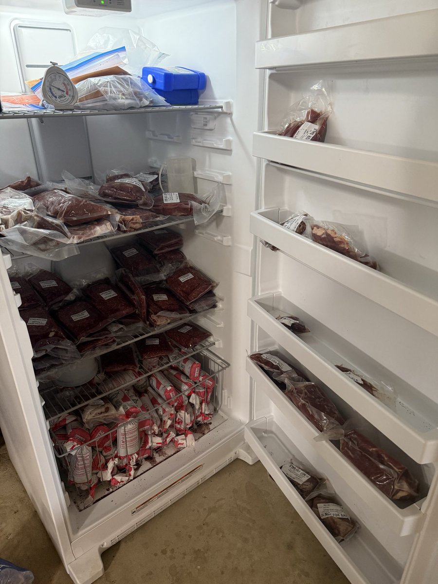 ThreatToMyself tweet media