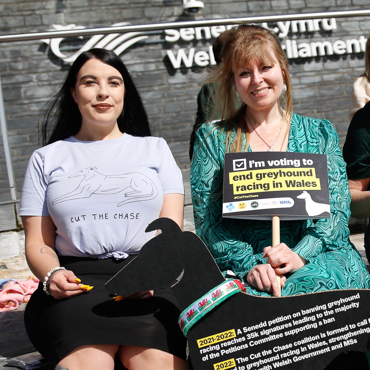 RSPCA Cymru tweet media