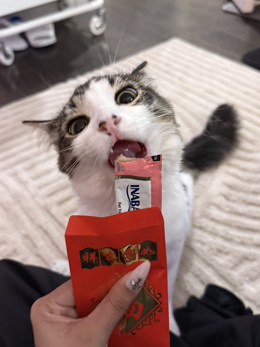 syd ☆彡 tweet media