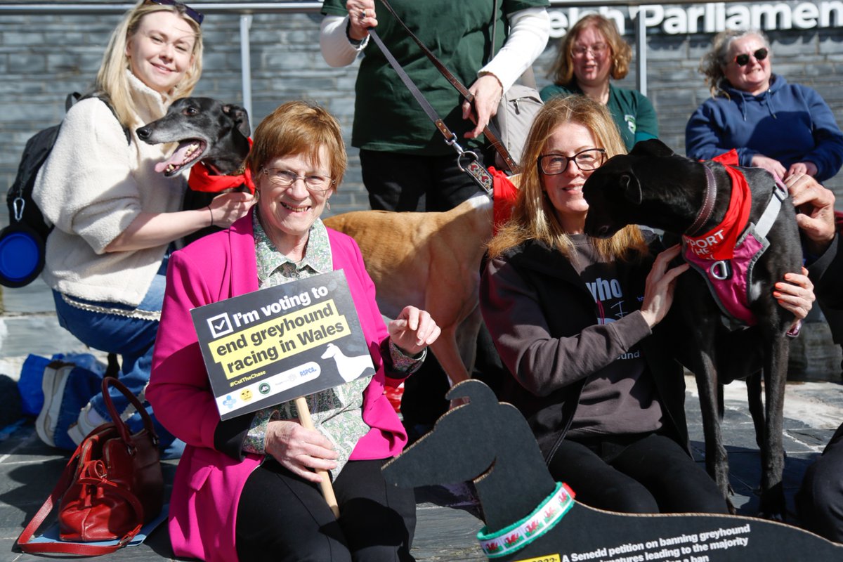 RSPCA Cymru tweet media