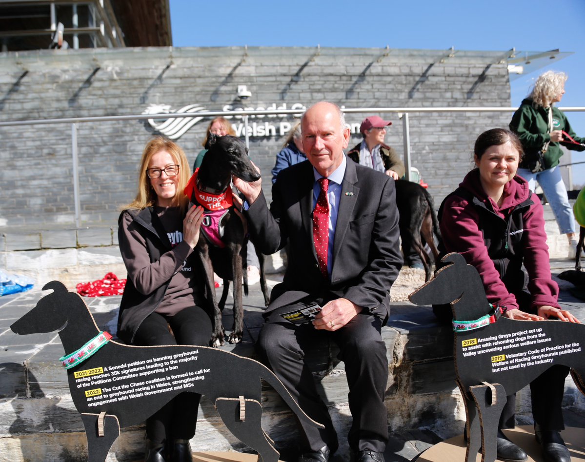 RSPCA Cymru tweet media