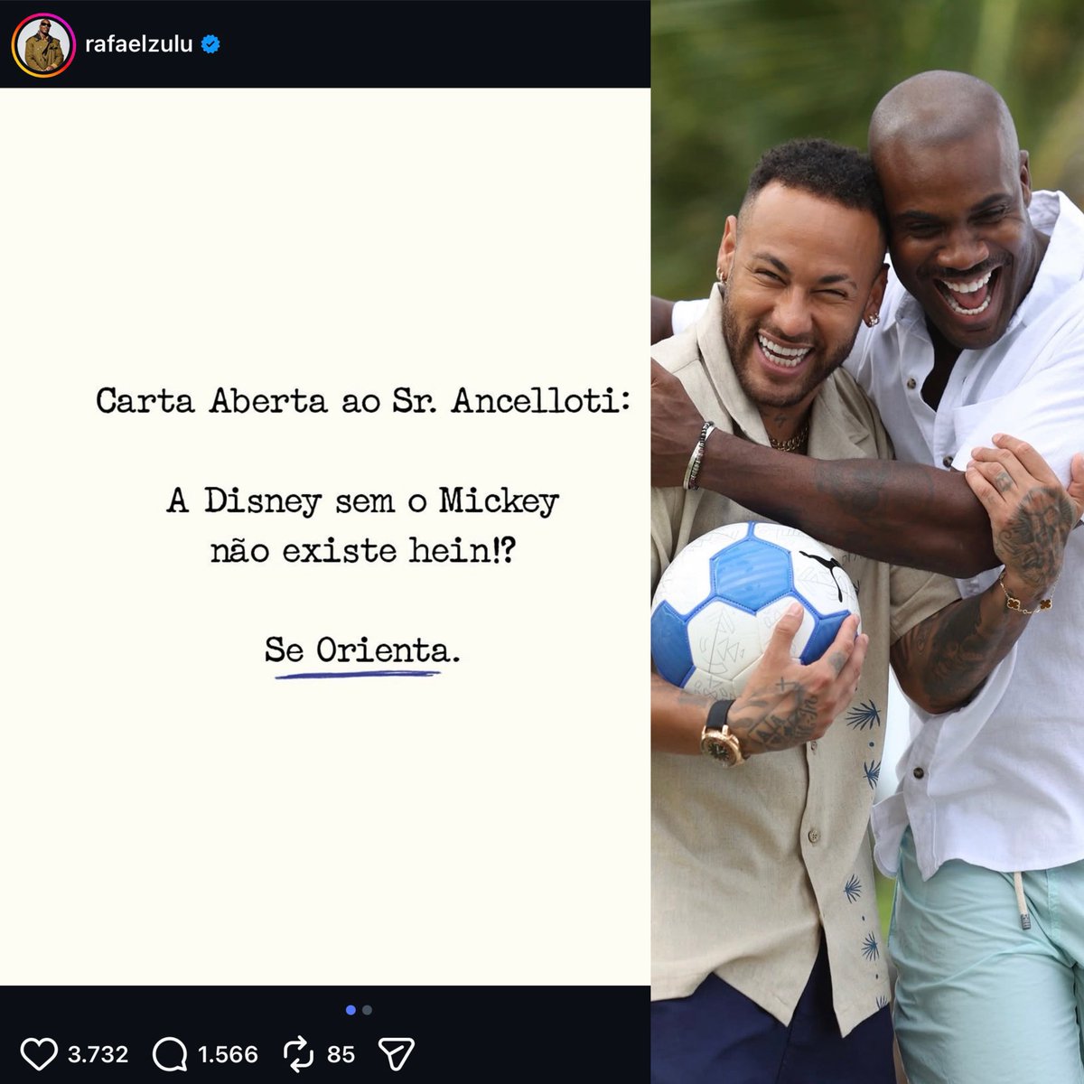 Sincerão tweet media