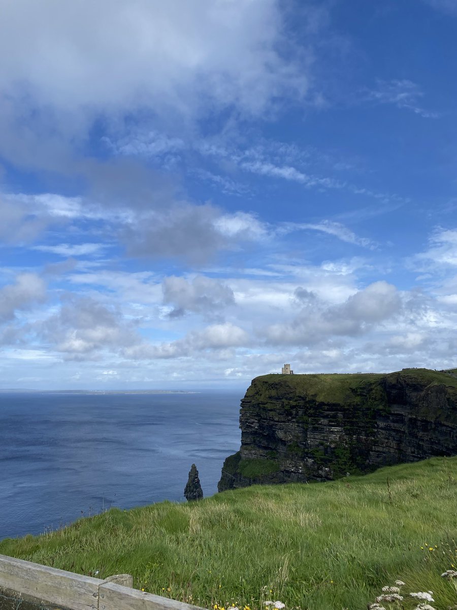 America First Mainer tweet media