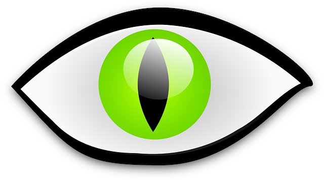 Danielle Cain tweet media