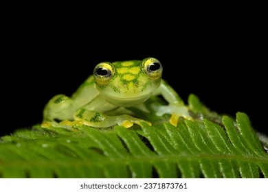 Cambrian Network 🪴 tweet media