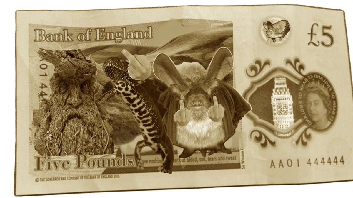 Danica Priest🦇🦎🦇🦎🍃💚🍃 tweet media