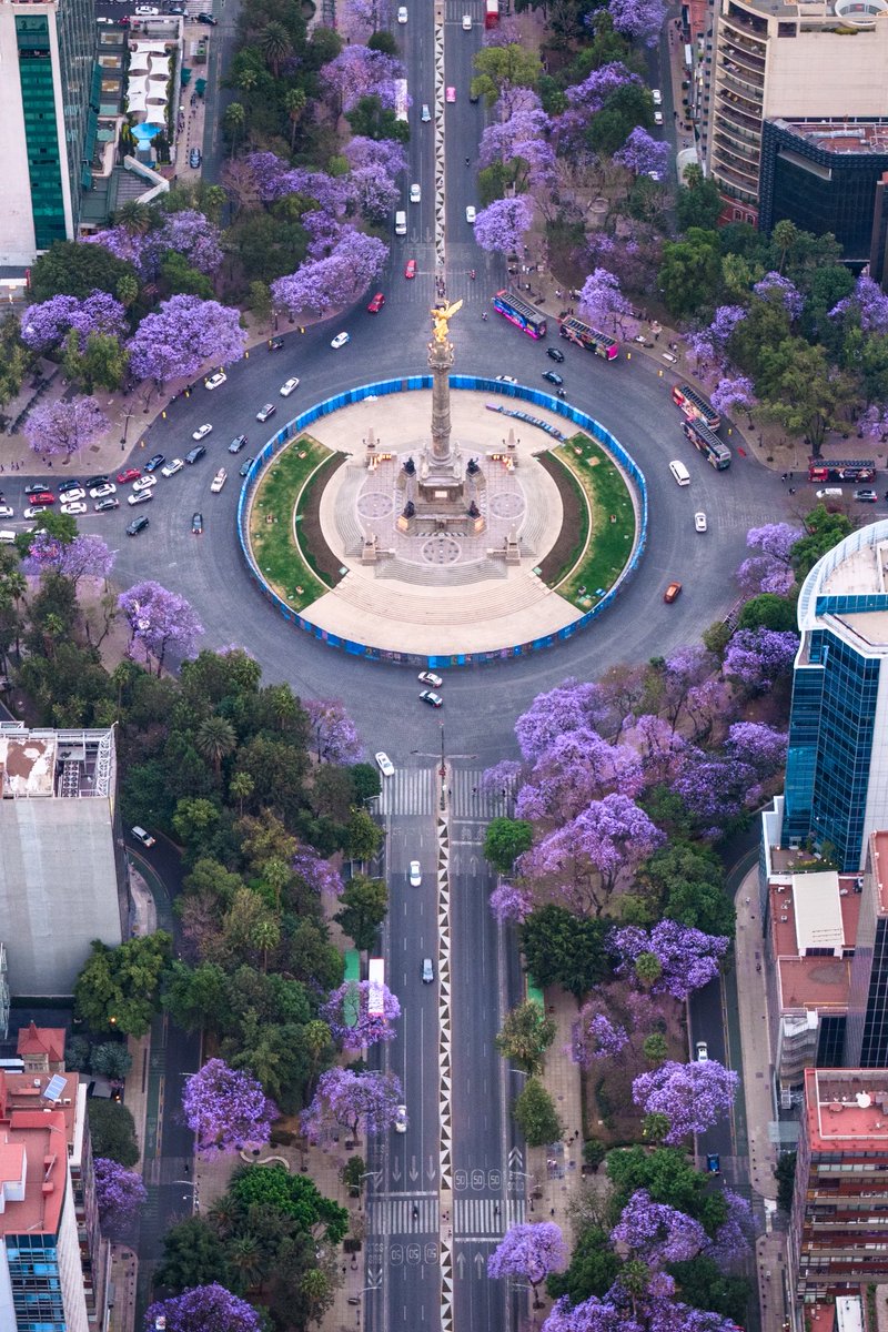 Indie 505 tweet media