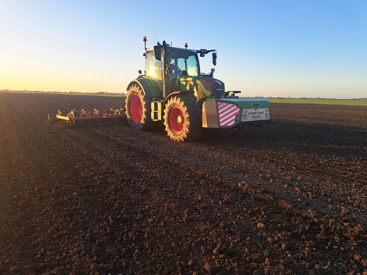 Michael Balls tweet media