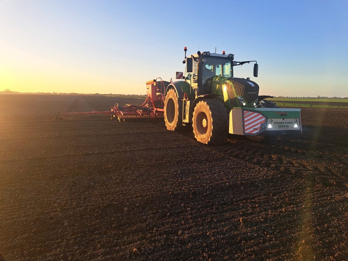 Michael Balls tweet media