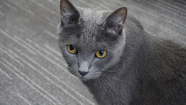 Daniel Lyons tweet media