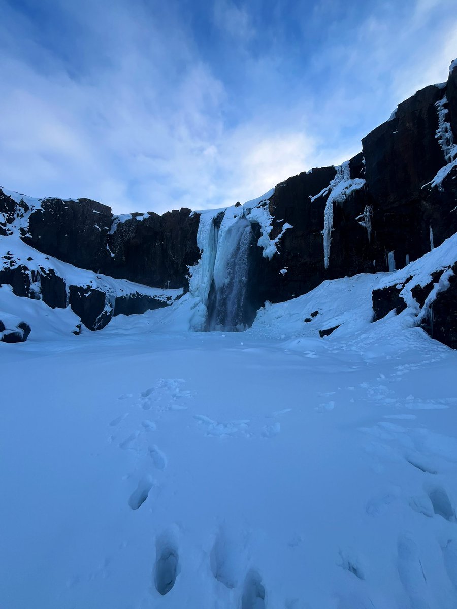 Kari Black tweet media